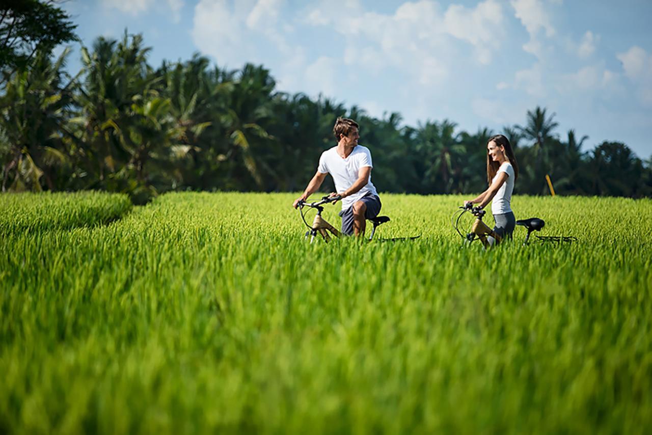 Tanah Gajah, A Resort By Hadiprana Ubud  Ngoại thất bức ảnh